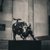 pexels.com photo charging bull wall street
