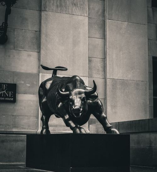 pexels.com photo charging bull wall street