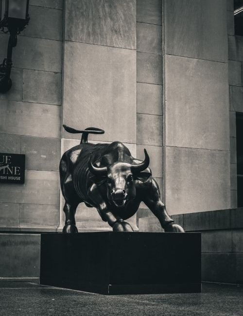 pexels.com photo charging bull wall street