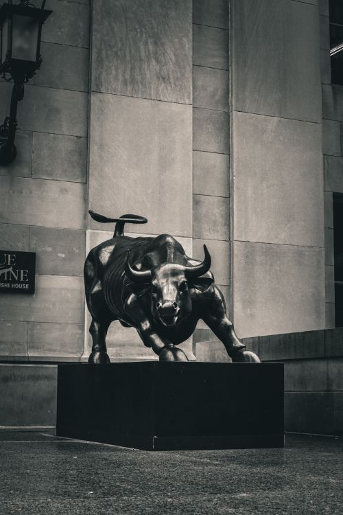 pexels.com photo charging bull wall street